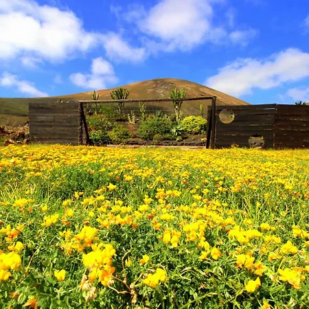 Holiday home Feliz - Sauna, Beheizter Pool, Sonnenbett, Spielplatz, 2x2 M Bett *